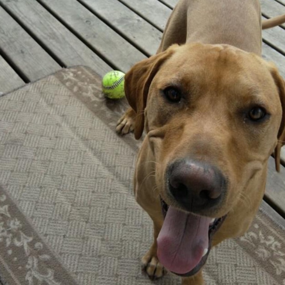 Meet your Posher, Alicia